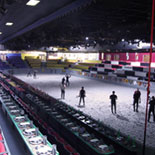 The Arena