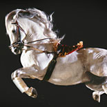 Equestrian Skills