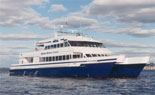 Whale Watch in Comfort