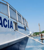 Fast Ferry of Provincetown