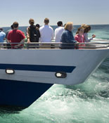 Optimum Viewing Aboard Our Catamaran