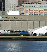 The New England Aquarium and IMAX Theatre