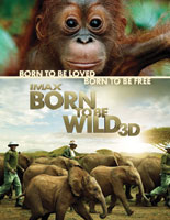 Born to be Wild 3D