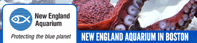 New England Aquarium in Boston