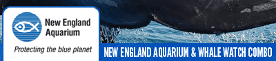 New England Aquarium and Whale Watch Combo