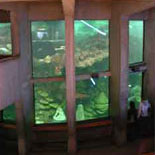 The Giant Ocean Tank encircled by 3 levels of fun!