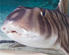 New England Aquarium in Boston