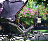 Antique carriage on the museum grounds