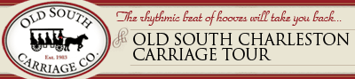 Old South Charleston Carriage Tour