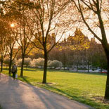 Bike Through Beautiful Parks