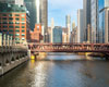 Inside Chicago- North and South Side Tour