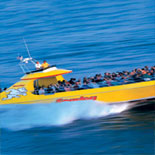 Take the SeaDog Tour