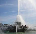 Chicago tours - attractions - museum - things to do