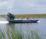 Fun in the Everglades