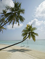 Key West - Island Paradise