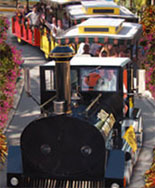 Conch Tour Train - Key West