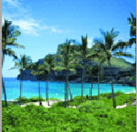 View the Beautiful Coastline