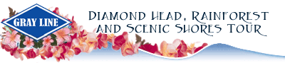 Diamond Head, Rainforest and Scenic Shores Tour