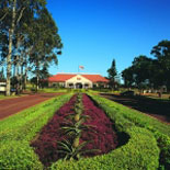 Dole Plantation