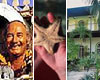 Stroll the amazing gardens at the Hemingway Home and learn about the treasures found aboard the Atocha.  Learn about the famous men who made Key West their home.  Enjoy  and discover the undersea world at the Key West Aquarium.