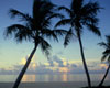 The Key West Island Passport package includes discounts on many Key West sightseeing tours, attractions and gifts including the Old Town Trolley, Conch Tour Train, Key West Aquarium and more!