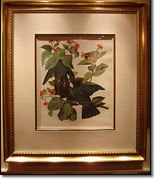 The Audubon House Gallery features a unique collection