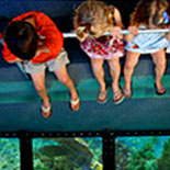 Underwater Vistas