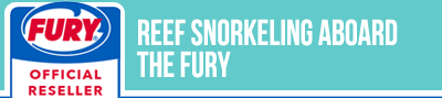 Reef Snorkeling aboard the Fury