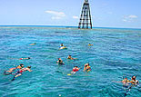 Snorkelers Doin' Their Thing
