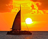 Commotion on the Ocean