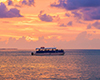 Fury Champagne Sunset Sail