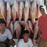 We Catch Fish