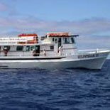 Gulfstream IV Key West's Premier Fishing Boat