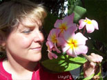The paths are lined with blooming tropical flowers