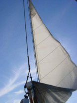 Hoisting the Rig- two hour cruises sail every day