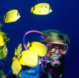 Scuba the crystal clear waters and reefs