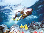 Professional snorkel instruction with quality snorkel gear