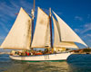 Experience the romance and mystique of the largest wooden vessel in Key West. A two-hour cruise on the Schooner Appledore, in the crystal blue waters of the Atlantic, is the best way to experience Key West and all her beauty. A daysail sightseeing adventure!