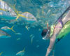 Key West Snorkel and Sailing Adventure