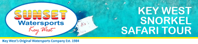 Sunset Watersports Snorkel Safari Tours