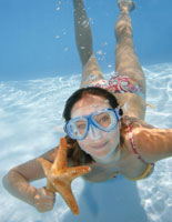 Snorkel the Clear Blue Waters of Key West