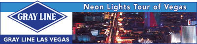 Neon Lights Tour of Vegas