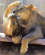 Las Vegas Zoo