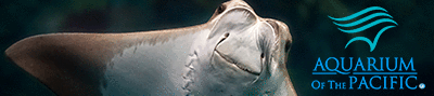 Aquarium of the Pacific