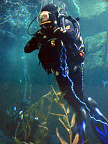 Hey, there's a scuba diver in your fish tank!