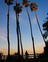 Follow the Best Trails to the Top of the Hollywood Hills