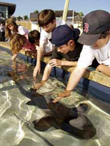 Aquarium of the Pacific