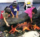 Cabrillo Marine Aquarium