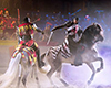 Experience the fun, feasting and fighting at Medieval Times Dinner & Tournament. The splendor, the pageantry and the romance of a time long remembered come to life in this Medieval Castle.