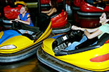 Wheeler Dealer Bumper Cars